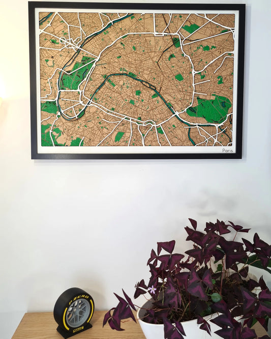 Hand-Painted 3D wall map with pins - Paris - France